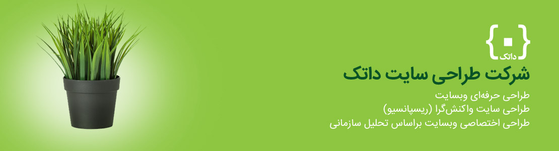 طراحی سایت حرفه ای داتک